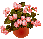 1401r.gif (1902 bytes)